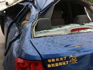 锦旗|搞笑gif: 狗子:你干嘛