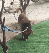 成年人|搞笑gif:我都成年人了,打游戏完全可以去网吧打啊!