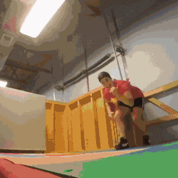 长命百岁|搞笑GIF：一只不知道怎么下来的变色龙