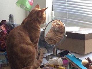 从小|搞笑GIF：从小就有一个摇滚梦