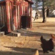 师父|谁还没有点小脾气小情绪啊