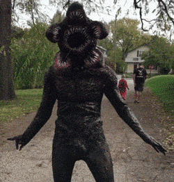 隐约|搞笑GIF图: 我有点害怕,并且隐约看到了什么