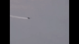 面包车|搞笑GIF：到底是先有的树，还是先有的车，这树这辈子也值了，至少坐过面包车