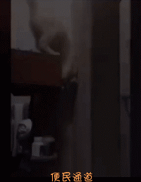 悟空|搞笑GIF：健身两分钟，拍照两小时，就这样了吧！