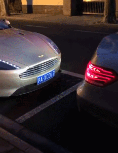 急刹车|搞笑GIF：求求你娶了我吧