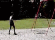 三条|爆笑GIF: 在她身后跟了三条街 就为了看看新闻