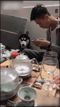 姑娘|搞笑GIF动图：姑娘，你这脚的味道真让人受不了