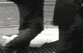 妹子|搞笑GIF趣图:这种做,家里也可以健身