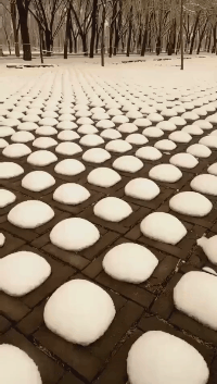 这是|搞笑gif段子:小伙子,一起来吧,你的球鞋已经出卖你了