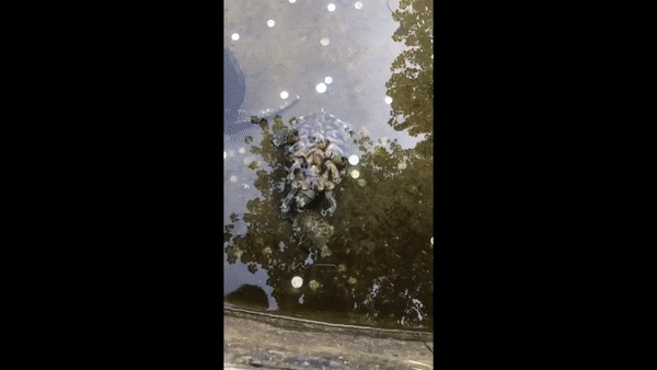 拔罐|搞笑GIF:我爸喝多了，一把鼻涕一把泪的哭诉他儿子不