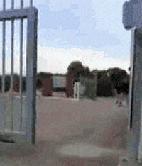 售货员|搞笑GIF趣图:大哥，你的气质真是不一般啊，雪茄一定很有味道吧！