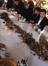 多人|GIF搞笑趣图：幸亏躲的有点快啊！要不然头发就没了！