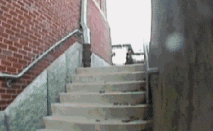 开门|爆笑GIF: 我没让你给我开门啊, 你给我关上, 哼!