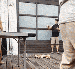 寝室|搞笑GIF:寝室的音乐高手,看来今天没有吃药!