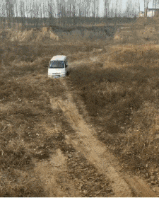 德友|搞笑gif趣图:大爷,你还收不收徒弟,我想学艺不想结婚