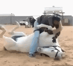 新郎|搞笑GIF图:这鞋藏的没谁了,新郎估计都要哭了吧