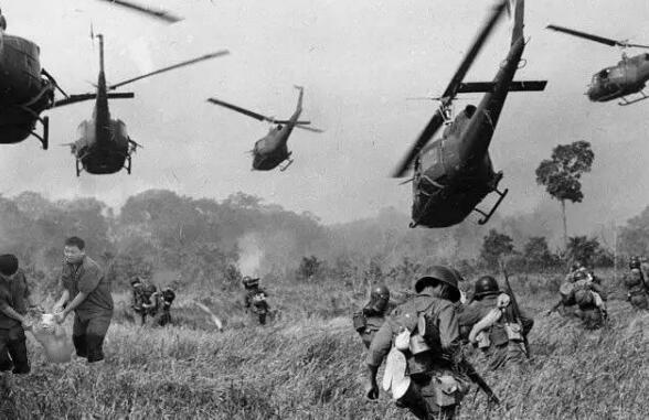 师兄|那只从台风中救出来的猪，被恶搞成表情包了