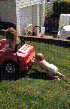 这是|搞笑GIF: 这饭做的大妈都看不下去了