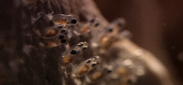 淋淋雨|搞笑GIF: 自从失恋后, 每个雨夜我都会出来淋淋雨