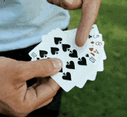 这是|搞笑GIF:哎呀我去,这么厉害,赌圣吗?