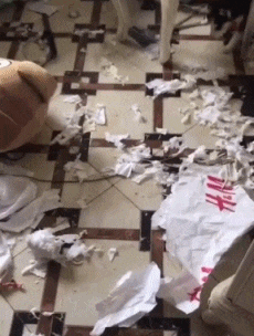 大哥|搞笑GIF:大哥,做什么生意的,这么有钱啊!