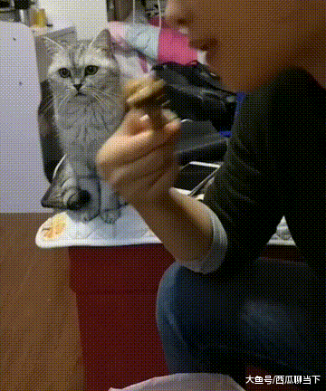 身板|搞笑GIF：这一定是嫁给了真爱