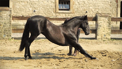 只是|有些女人生气是假的, 她们只是需要男人的理解