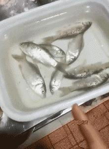 高难度|凡是能做出这种高难度动作的人, 一般都是练过的