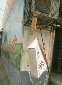 天都|搞笑GIF：最近一个礼拜，女友每天都会给我下面吃，真是美味