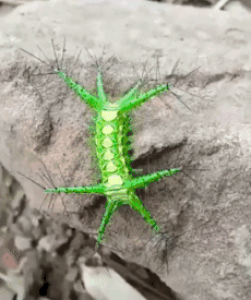 回事|搞笑大合集，这书一直冒气是怎么回事呢