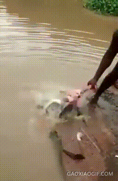 文松|让你笑的二十八张图(比宋小宝 文松搞笑)开心一刻