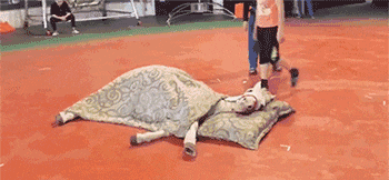 冰淇淋|美女你别自多情了,我只是单纯的想吃冰淇淋