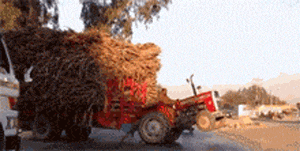 解释|搞笑GIF: 谁来解释下这火是怎么冒出来的