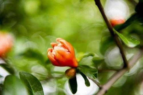 老婆|幽默笑话：一对老夫妇能恩爱几十年，还是不会做饭