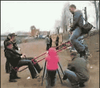 跆拳道|金毛一脸无辜:“学了跆拳道就是不一样”