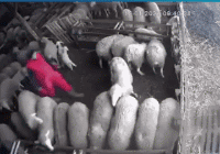 老公|搞笑GIF:等女朋友下班,什么时候才能换个职业啊