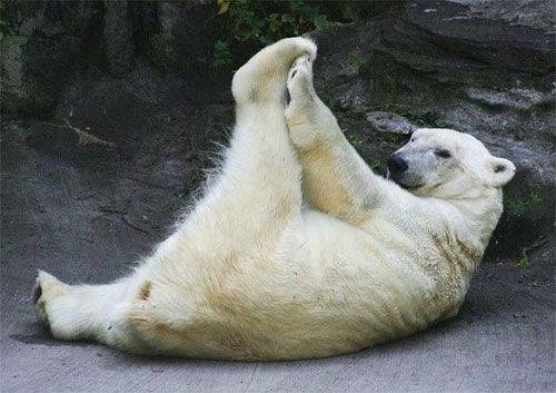 屠夫|追求多年的女神居然答应做我女朋友了，把我高兴坏了