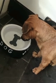 小娘|小娘们一言不合就趴墙头,隔壁大叔乐坏了,细心的王大妈找到亮点