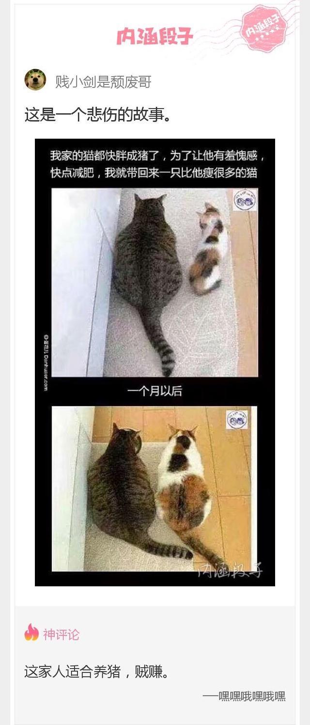 这根|内涵神评论:上学的时候多想拉开这根绳子啊!