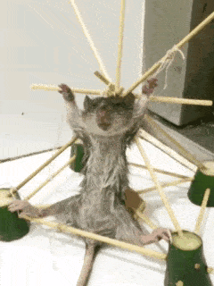 老公|搞笑GIF趣图:美女,我也不知道你在做什么,只能静静的看着!