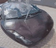 厕所|搞笑GIF动图：终于完成了我小时候想最想观察的结果之一