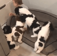 我要|搞笑GIF：等着我，我要来拯救世界了