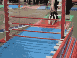 侄子|搞笑gif趣图：这演技……还是回去好好练练吧……