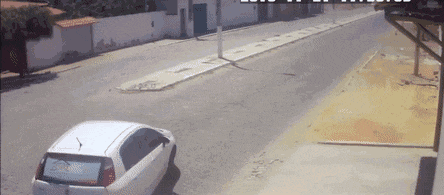 学习|搞笑GIF:不是说追着玩嘛!去哪里了?藏起来了?