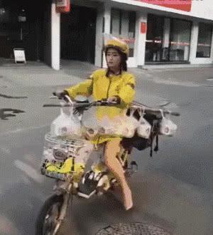 愚公|搞笑奇葩：外卖妹子这高跟鞋太出戏了