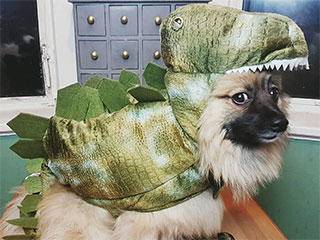 女朋友|自己的女朋友跪着宠完!