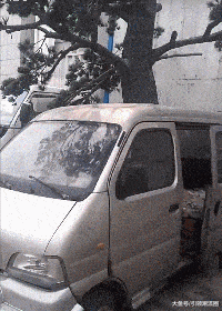 石狮子|搞笑GIF：这石狮子看着挺眼熟啊！