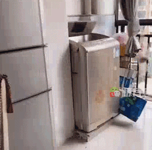 妹子|搞笑GIF:做梦都在学开车