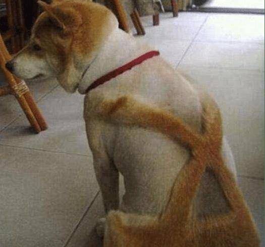 段子|笑话段子:老婆温柔抚摸着我的脸说,我好像已经三天没打你了