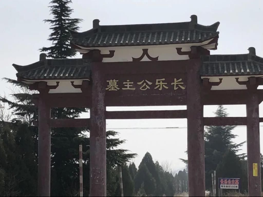 划面,伤耳,突厥将军阿史那杜尔当即请求殉葬,被唐高宗拒绝,阿史那社尔